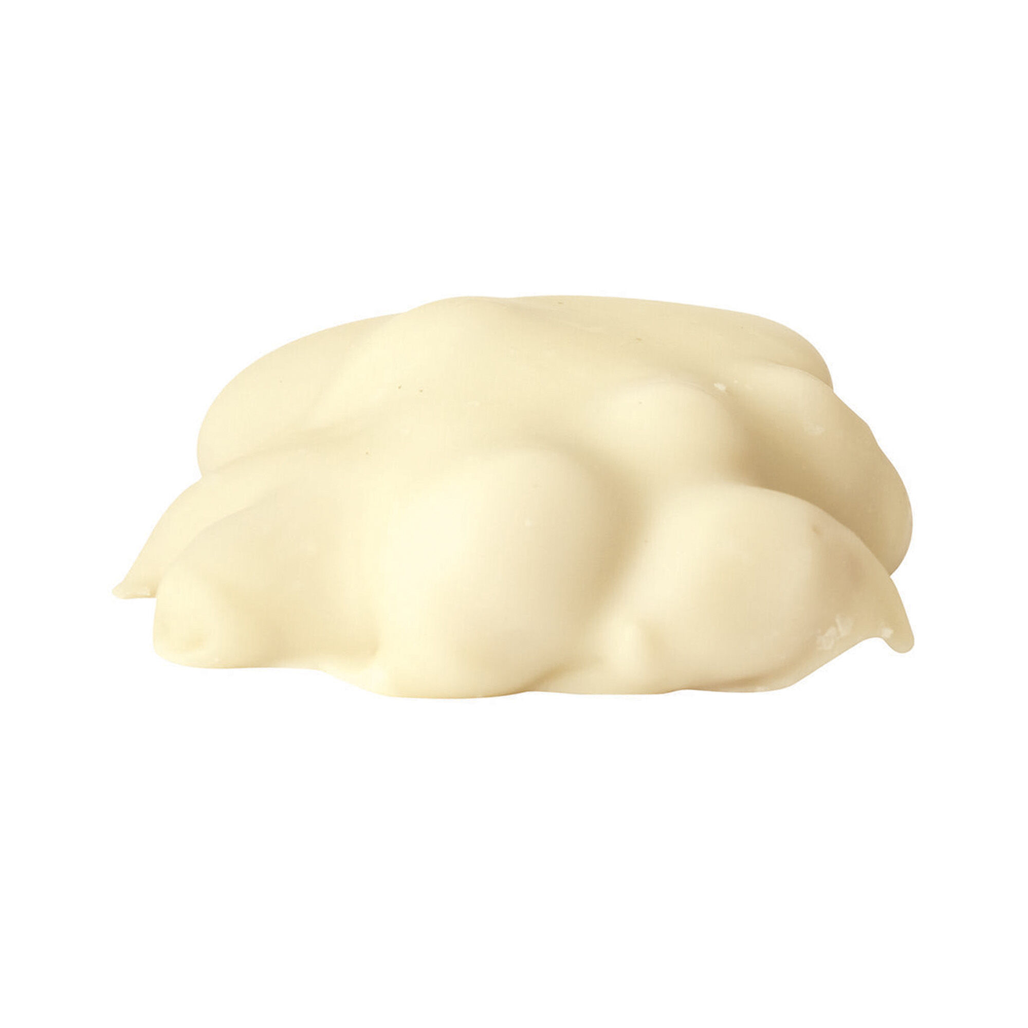 polar-bear-paw-500304-side.jpg